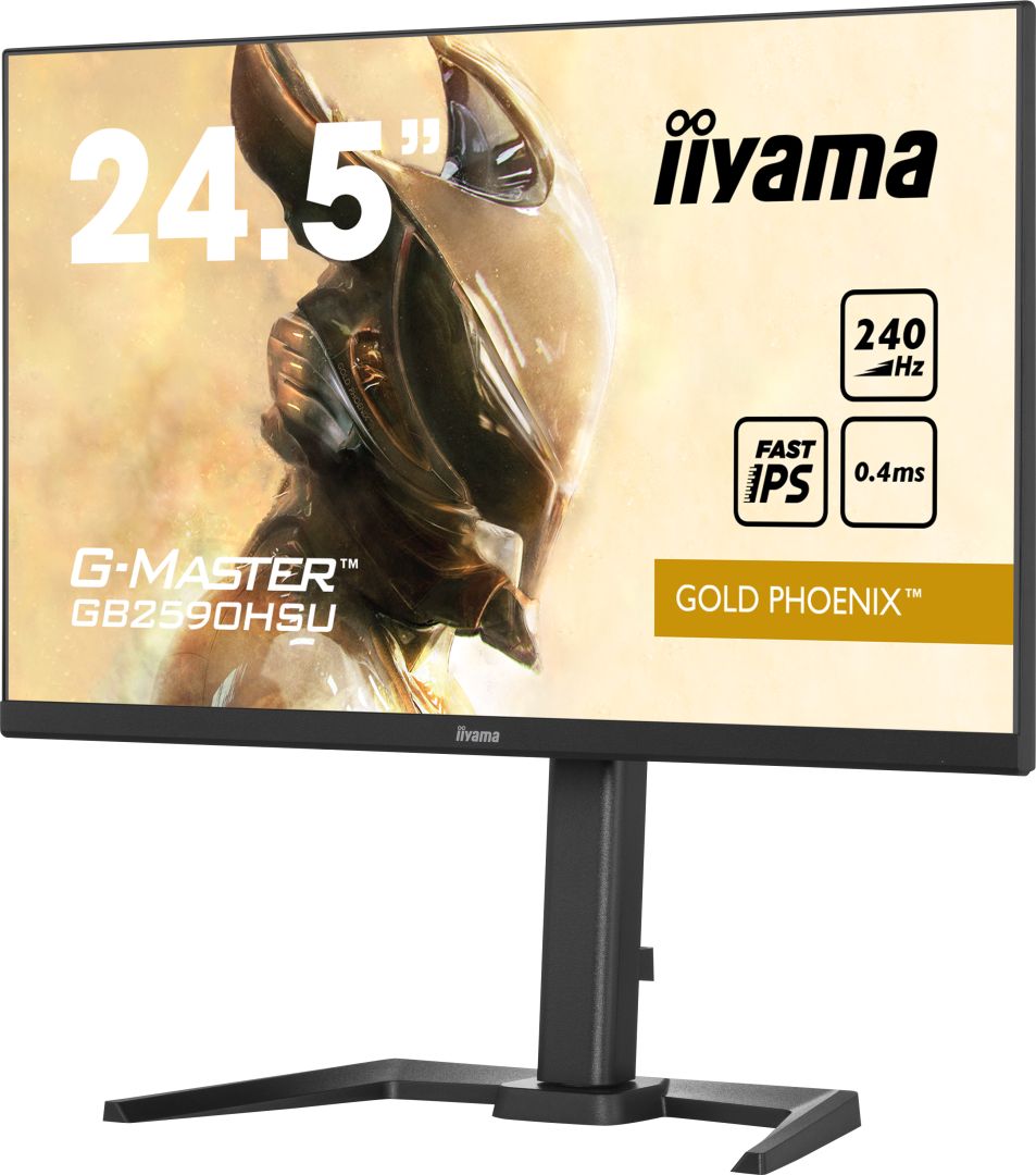 iiyama 24,5