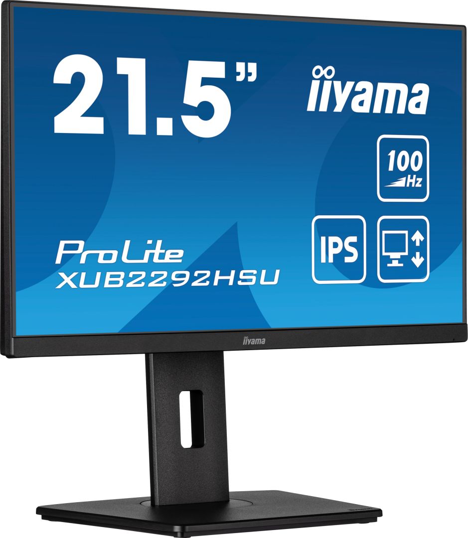iiyama 21,5