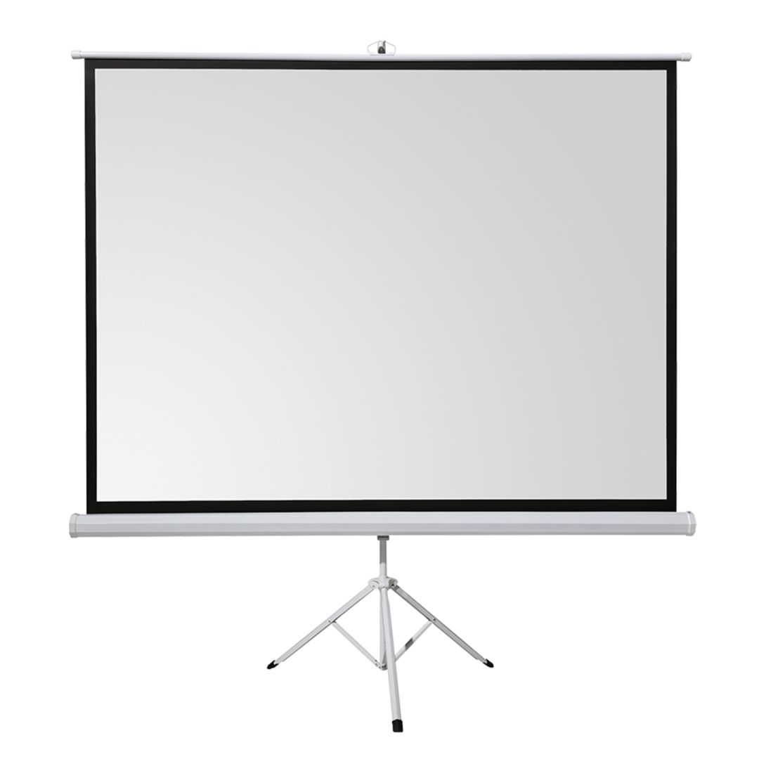 Everest TPP-240 Matt White 240x200 cm Format 4:3