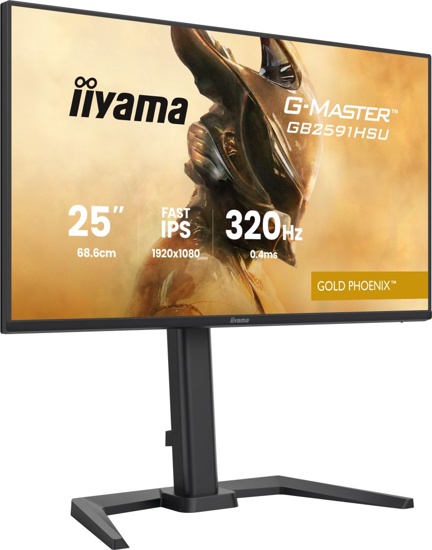 iiyama 24,5