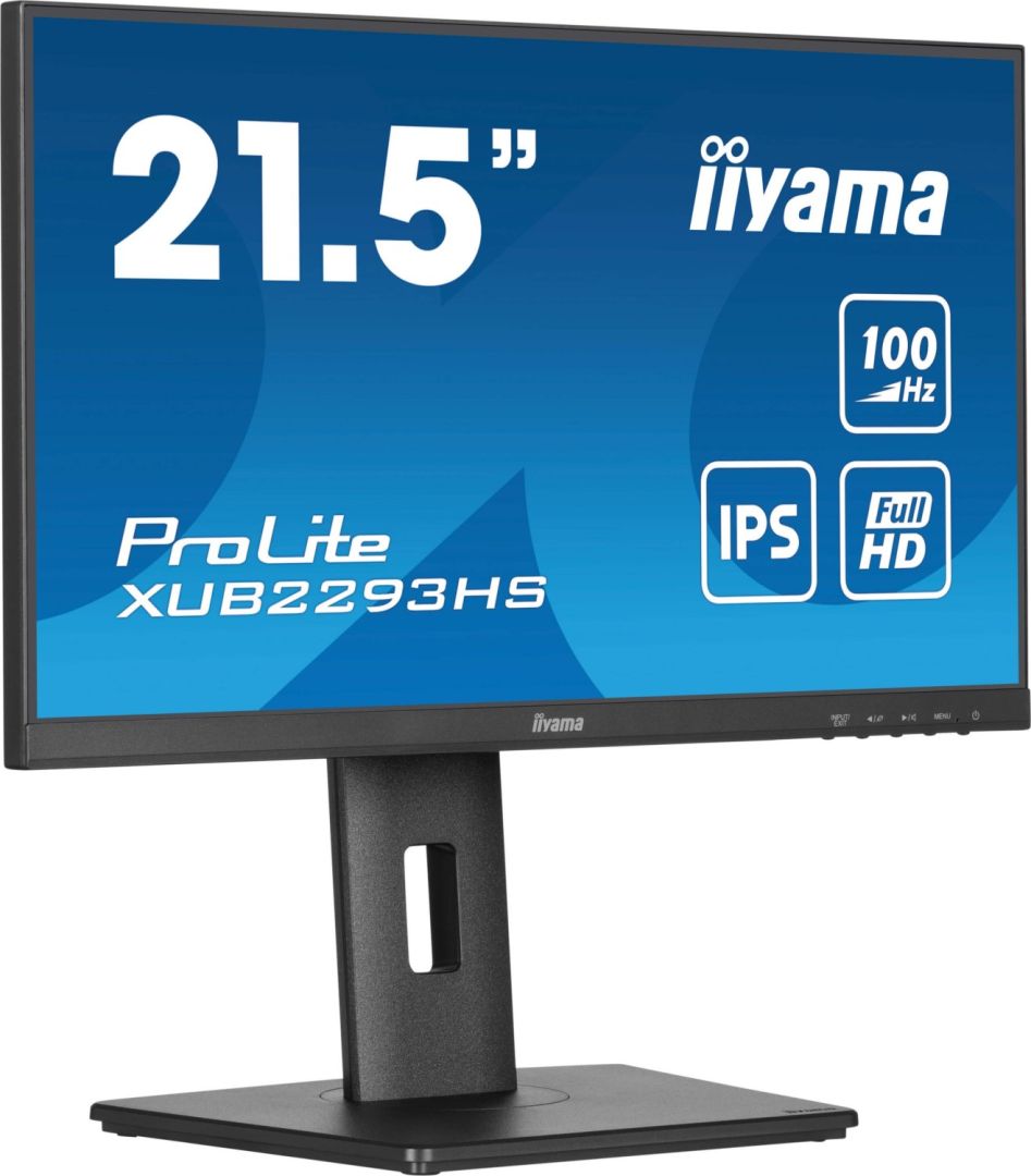 iiyama 22