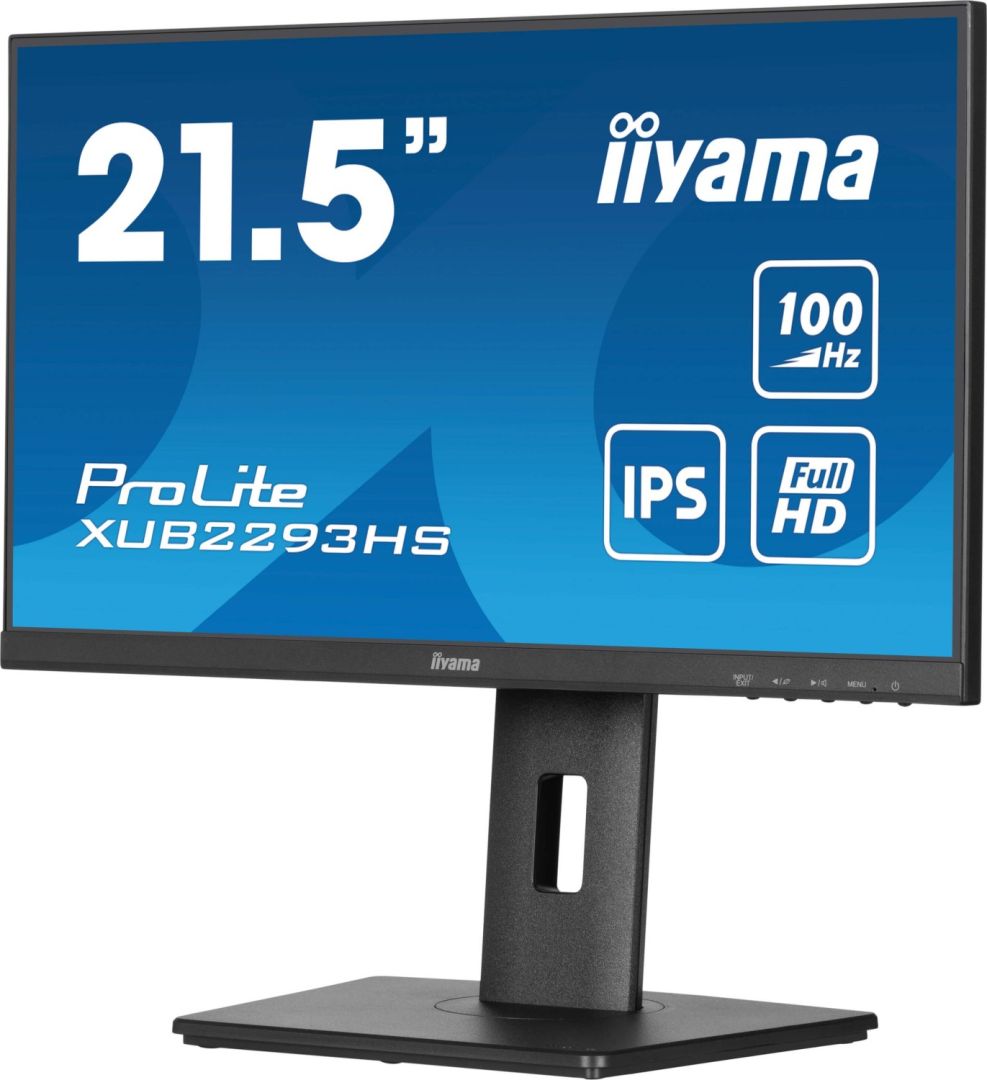 iiyama 22