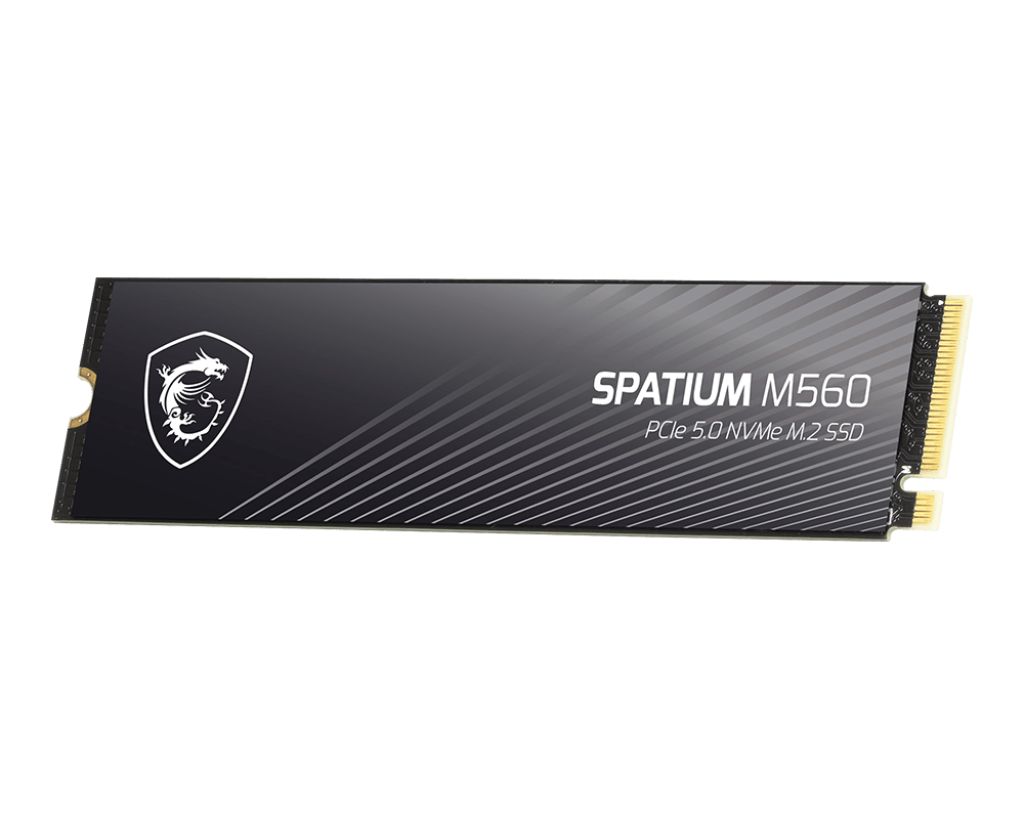 Msi 1TB M.2 2280 NVMe Spatium M560