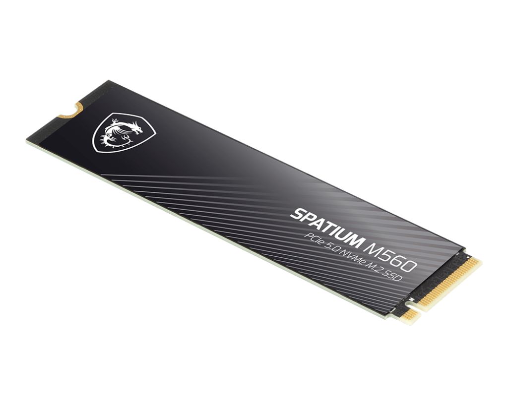 Msi 1TB M.2 2280 NVMe Spatium M560