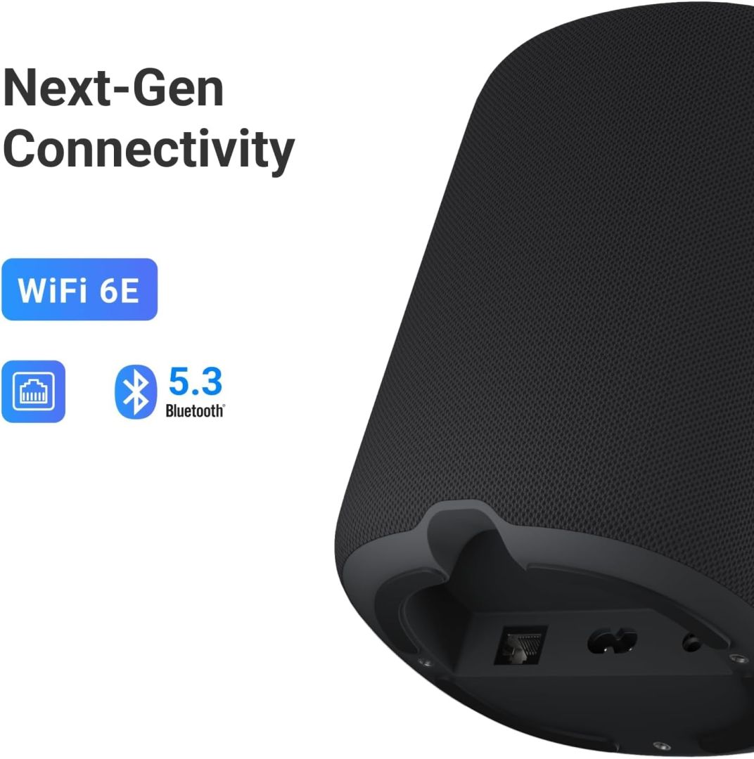 WiiM Sound Lite Speaker Black (2-pack)