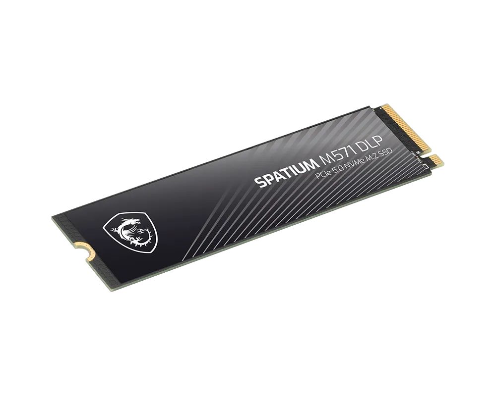 Msi 4TB M.2 2280 NVMe Spatium M571