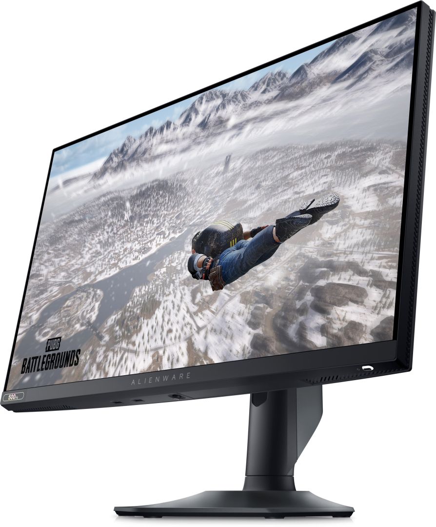 Dell 24,5