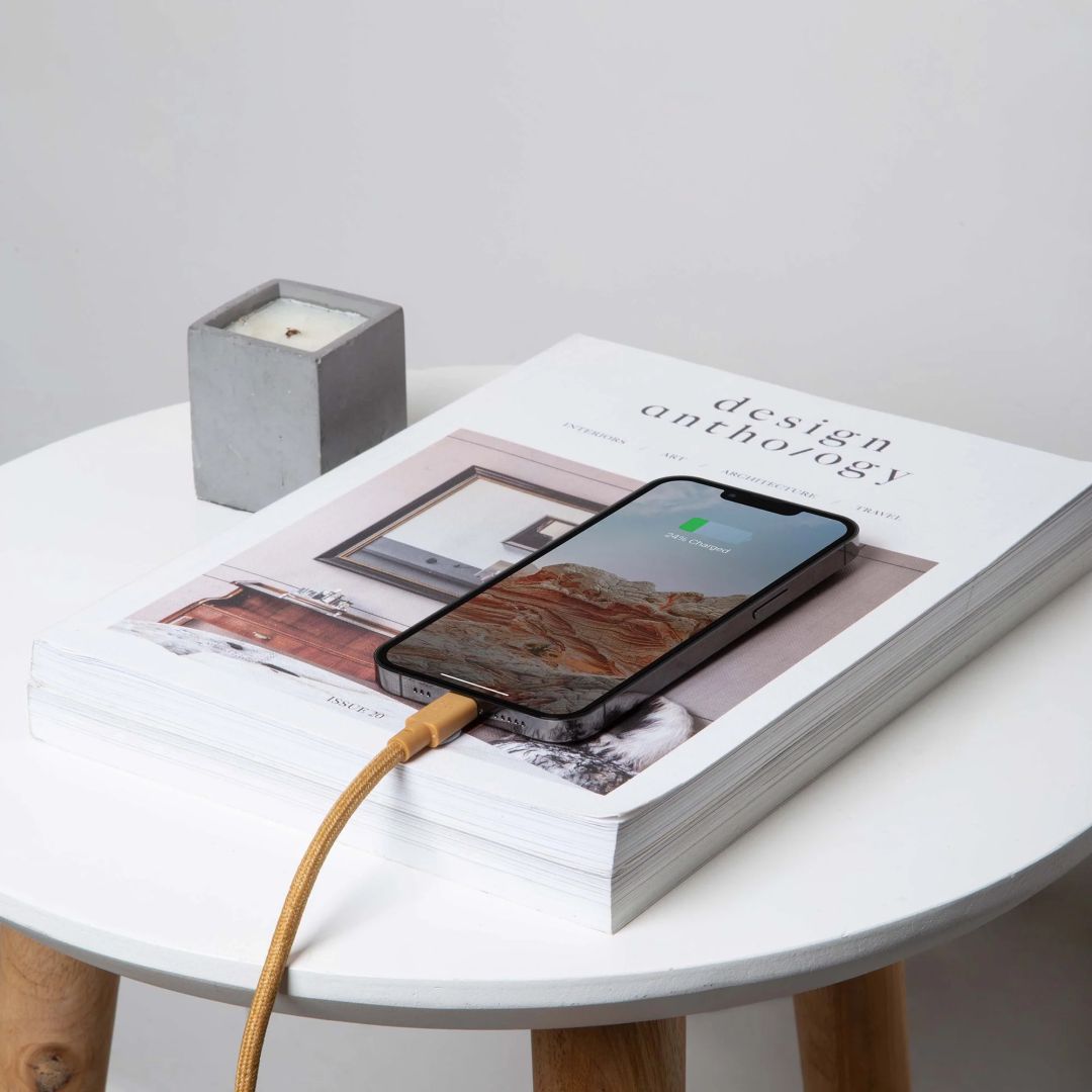 Native Union Belt USB-C to Lightning XL cable 3m Cosmos