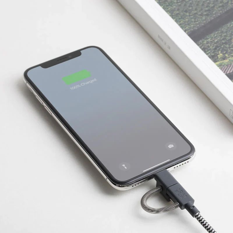 Native Union Belt Cable Universal USB-A to USB-C, Micro USB, Lightning 2m Zebra