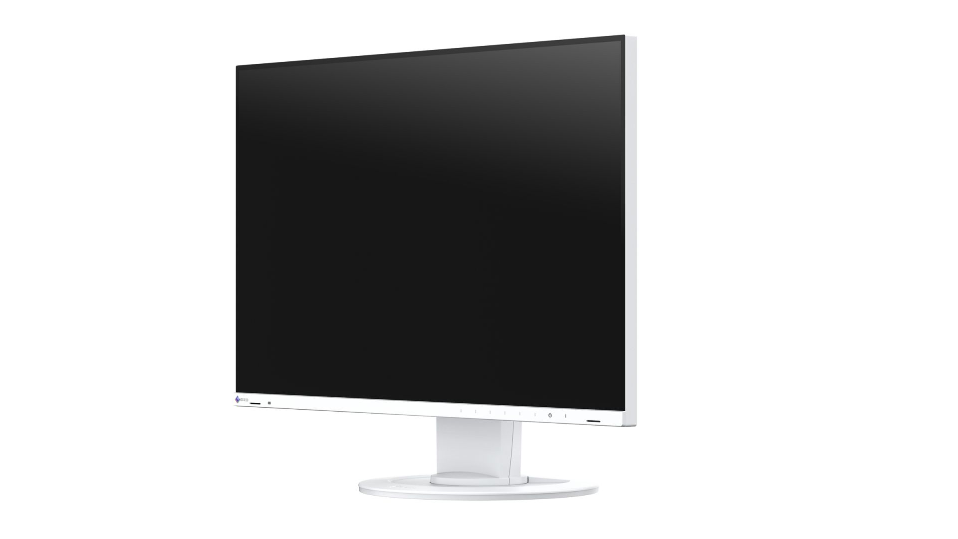 Eizo 24,1