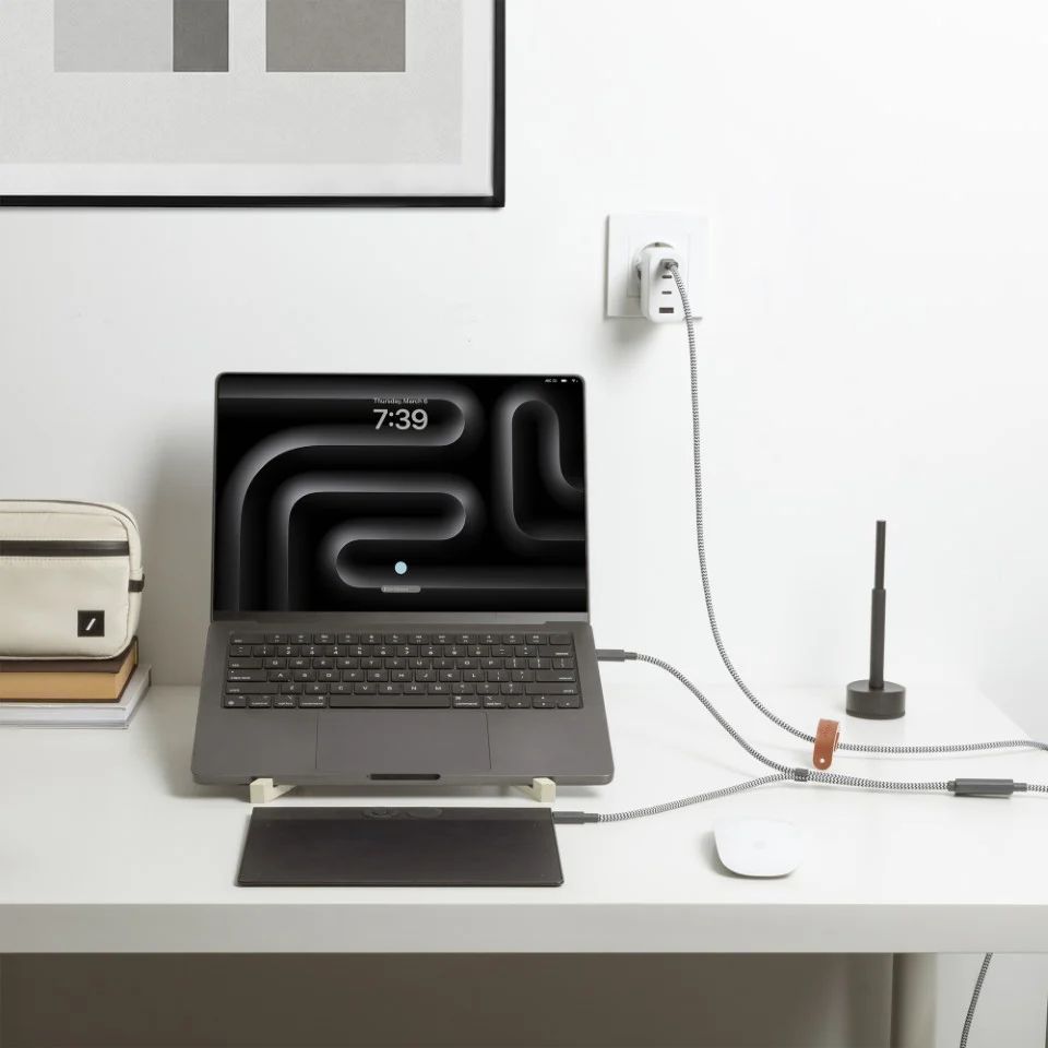 Native Union Belt USB-C to USB-C cable 2m Zebra