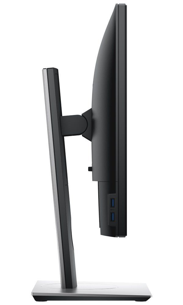 Dell 19