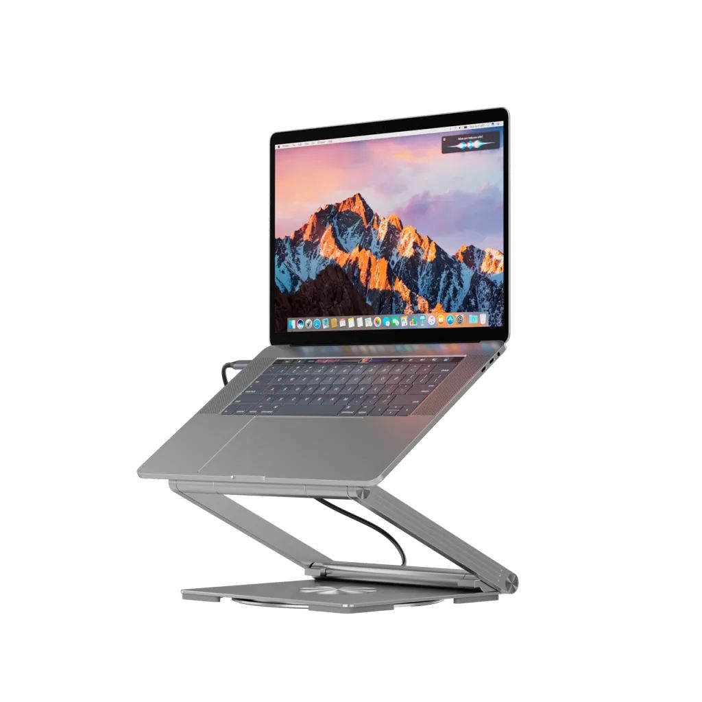 Canyon CNS-SDS2 Latop Stand with Hub Silver