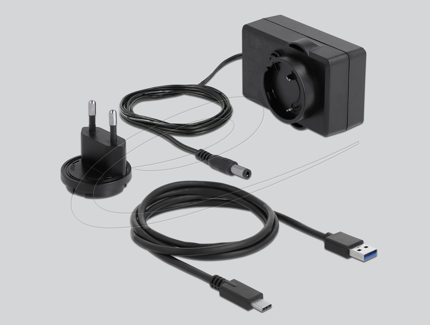 DeLock External Dual Enclosure for 2x3.5″ SATA HDD Transparent