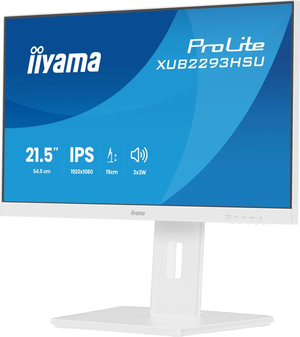 iiyama 21,5