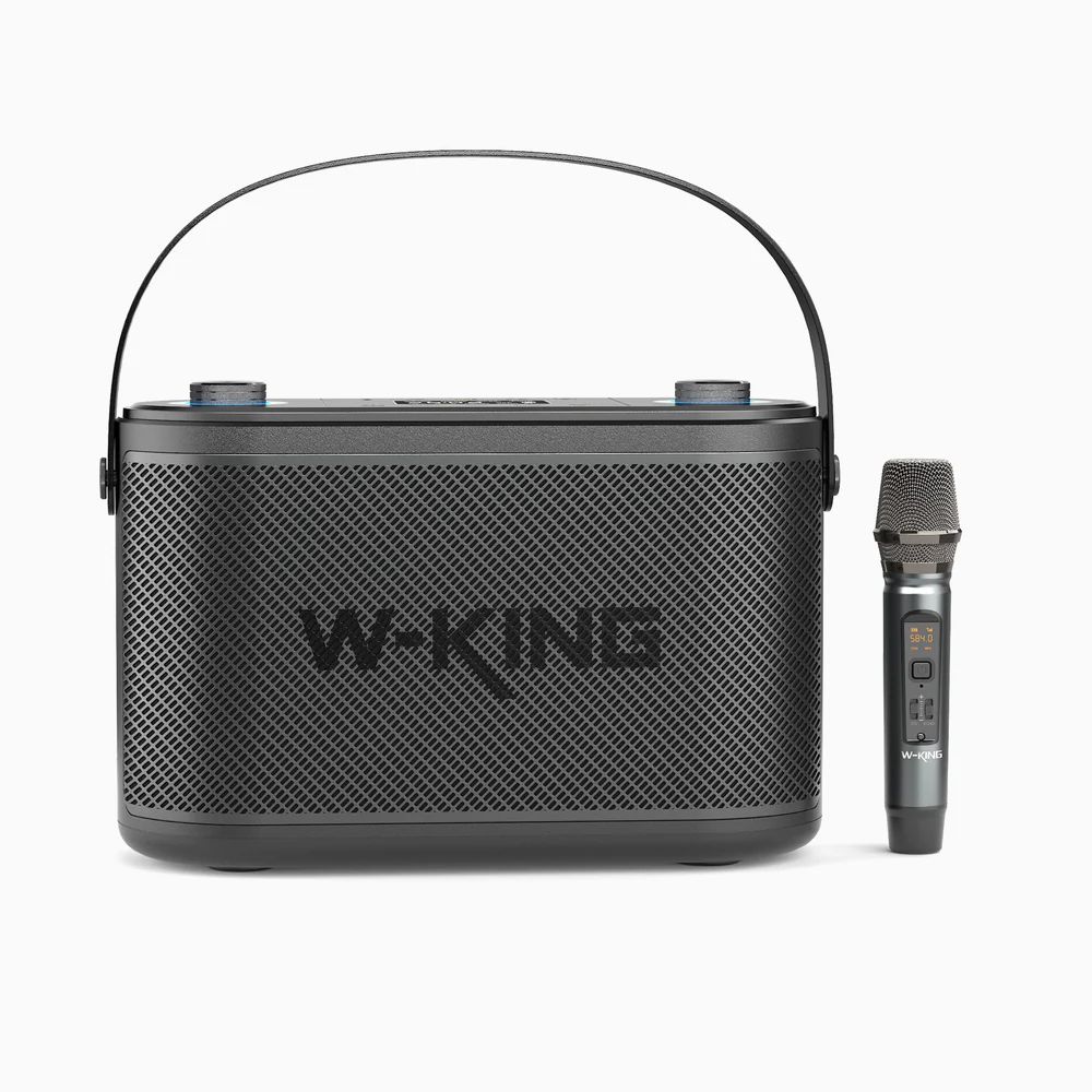 W-King H10 Bluetooth Speaker Black