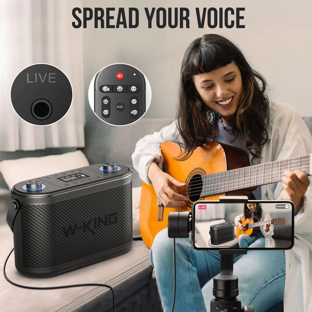 W-King H10 Bluetooth Speaker Black
