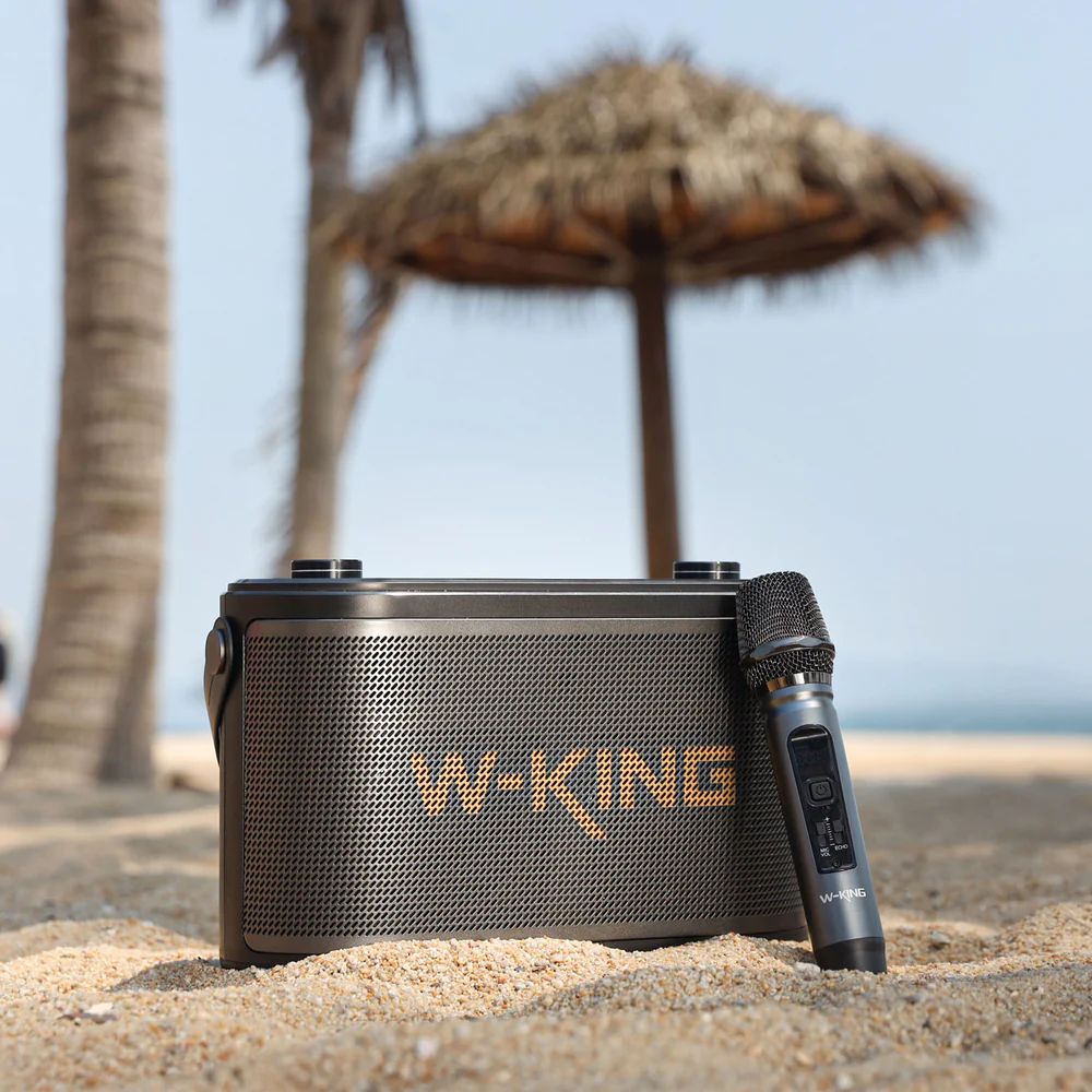 W-King H10s Bluetooth Speaker Black