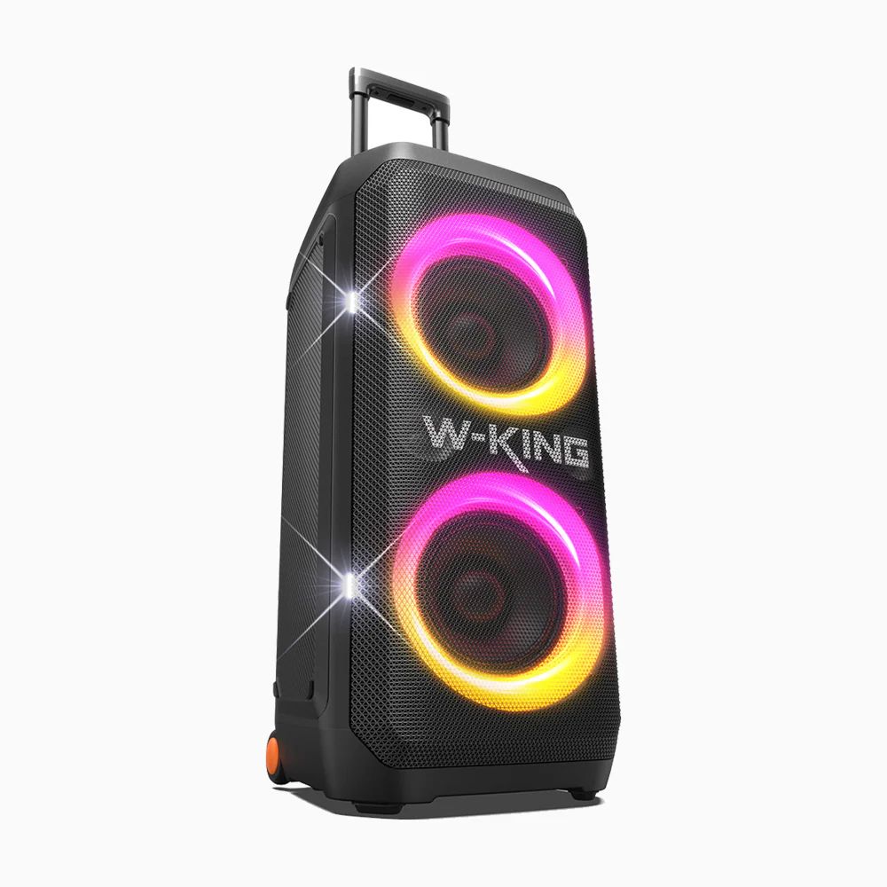 W-King T12 Bluetooth Speaker Black