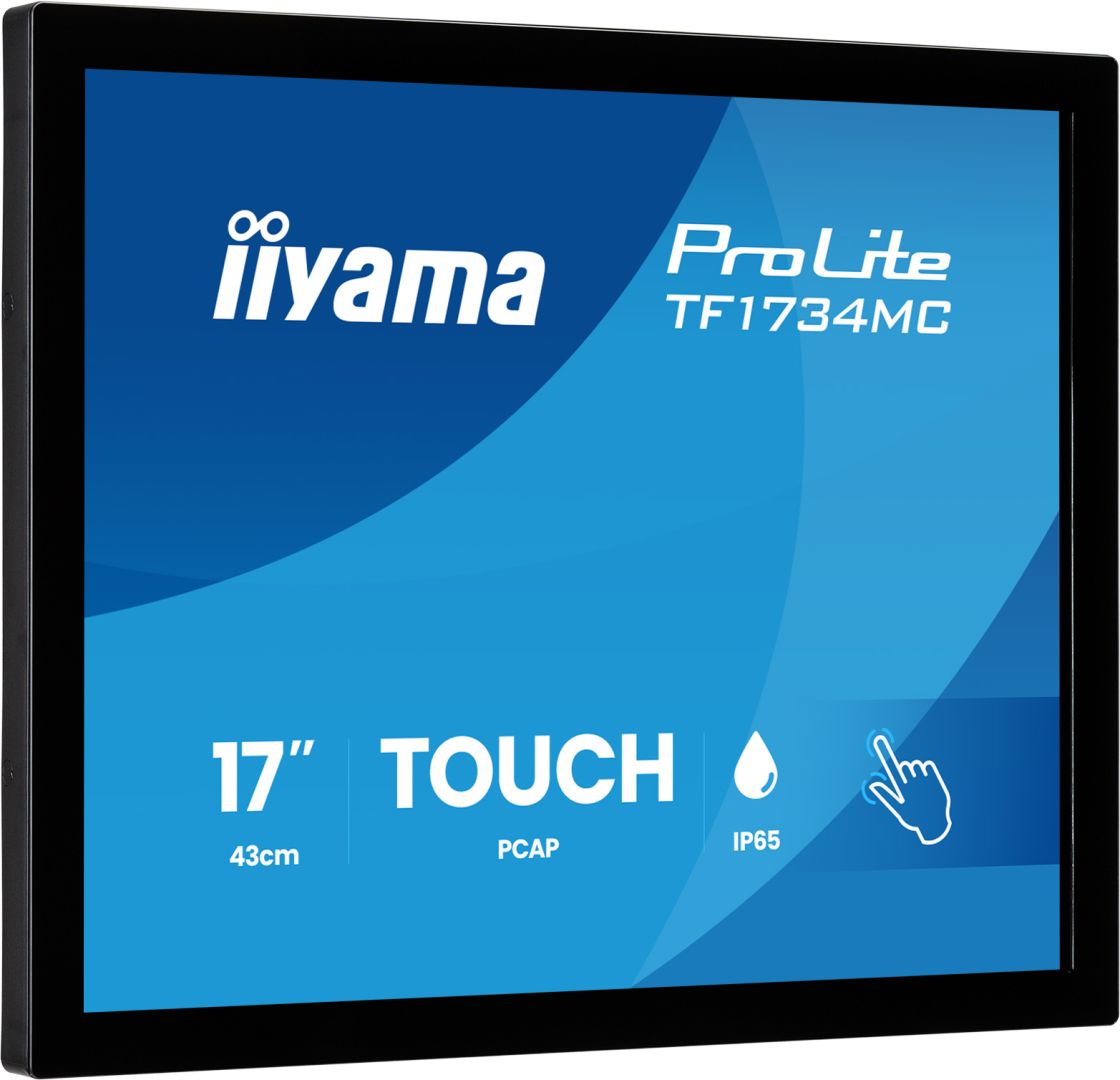iiyama 17