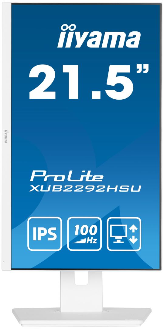 iiyama 21,5