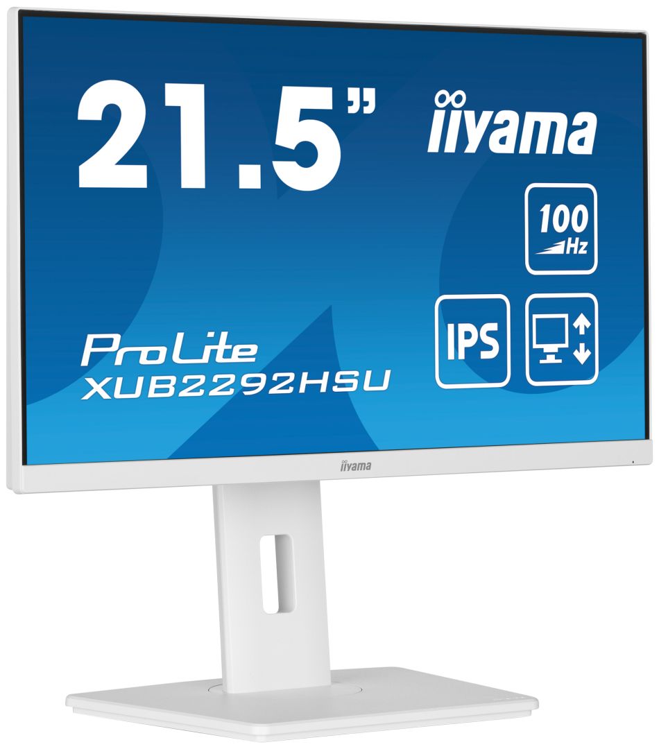 iiyama 21,5