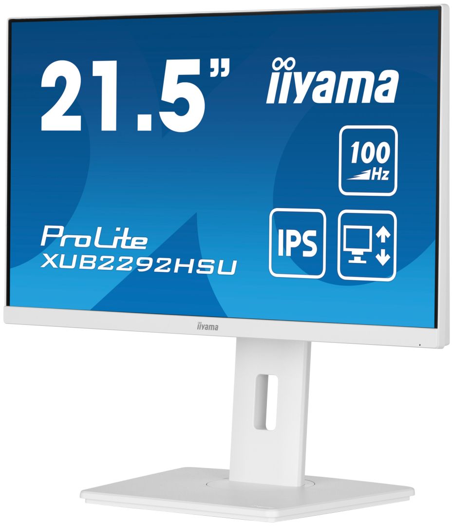 iiyama 21,5