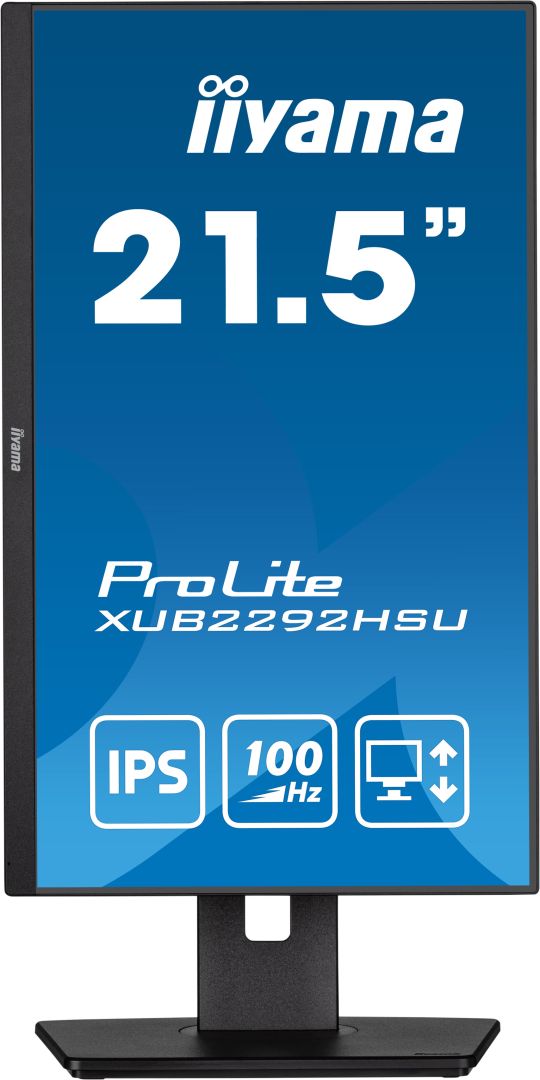 iiyama 21,5