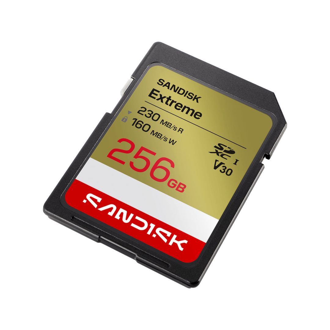 Sandisk 256GB SDXC Extreme GO UHS-I U3 V30