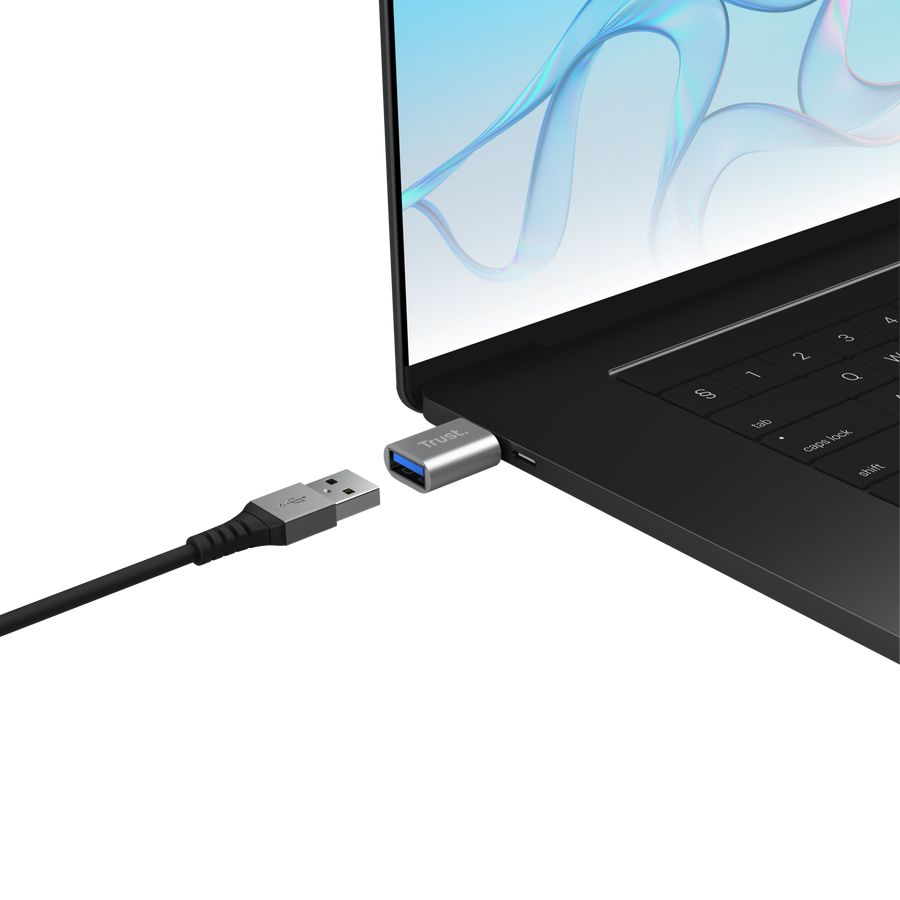 Trust Calyx USB-C to USB-A Adapter (2pack)