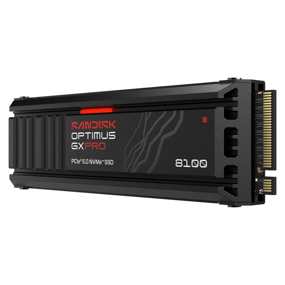 Sandisk 4TB M.2 2280 NVMe Optimus GX Pro 8100 with Heatsink