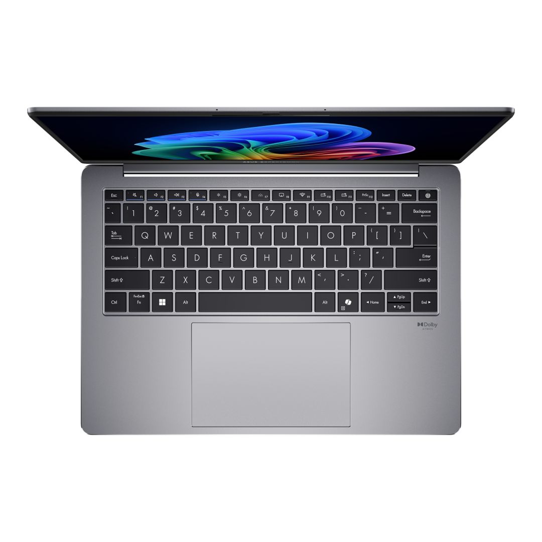 Asus P5405CSA-NZ0128 Misty Grey
