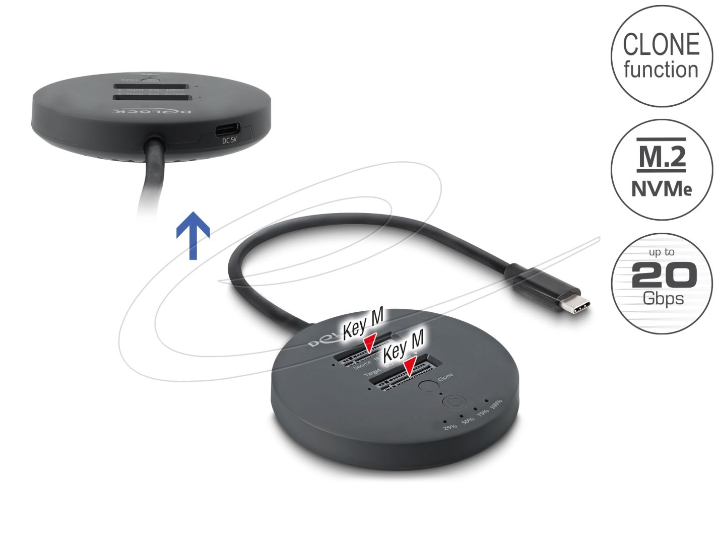 DeLock USB 20 Gbps M.2 Docking Station for 2xM.2 NVMe PCIe SSD with Clone function Black