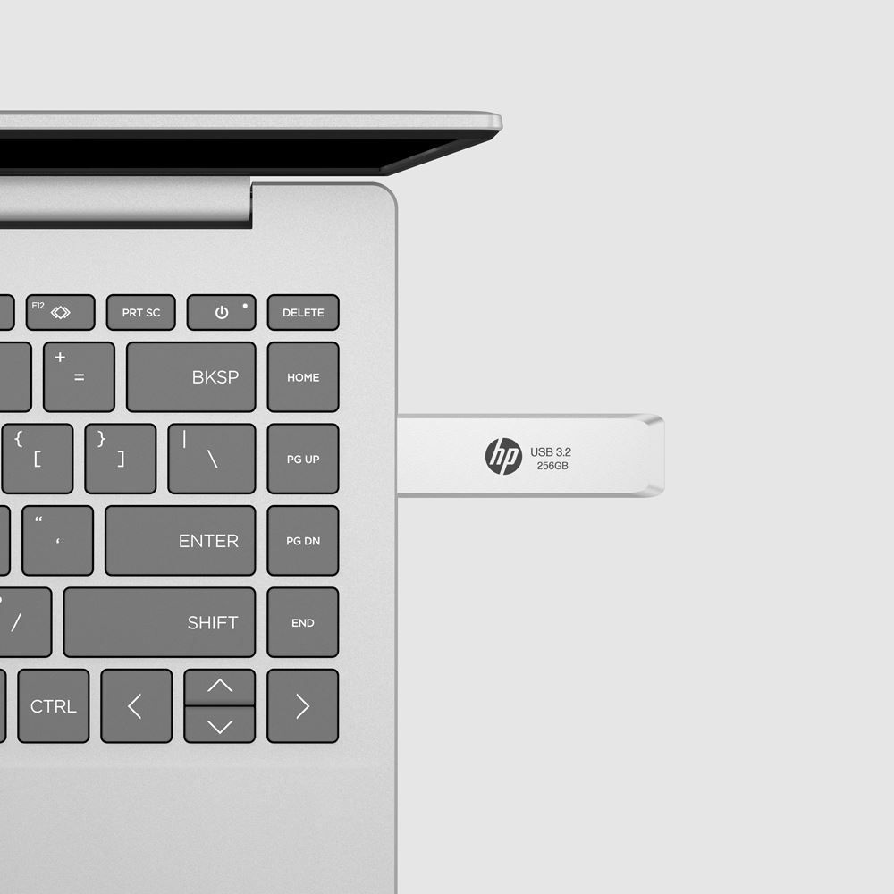 PNY 256GB HP 819W USB3.2 Matte Silver