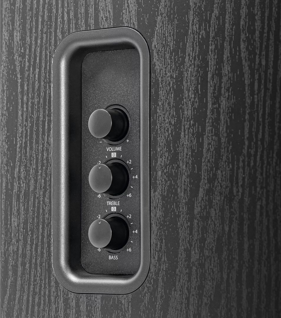 Technisat Audiomaster RLS 1