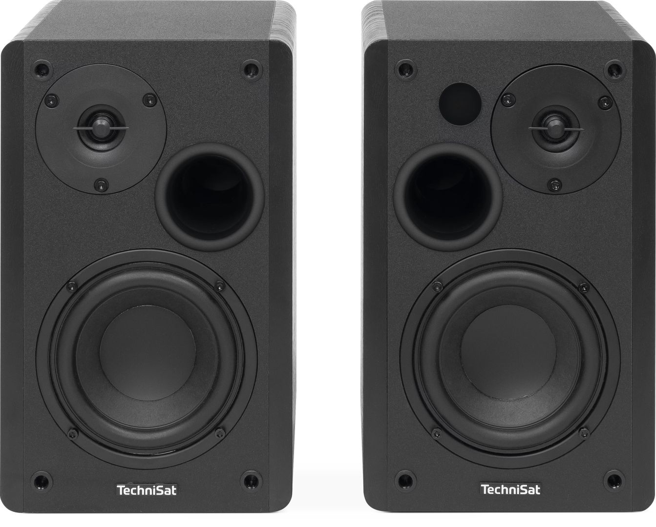 Technisat Audiomaster RLS 1