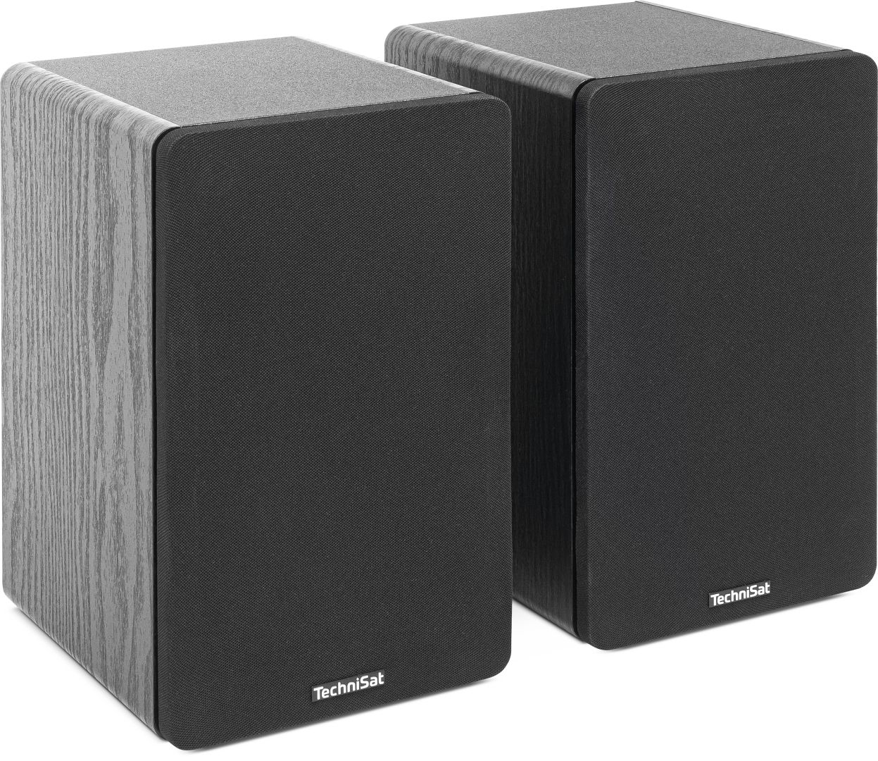 Technisat Audiomaster RLS 1