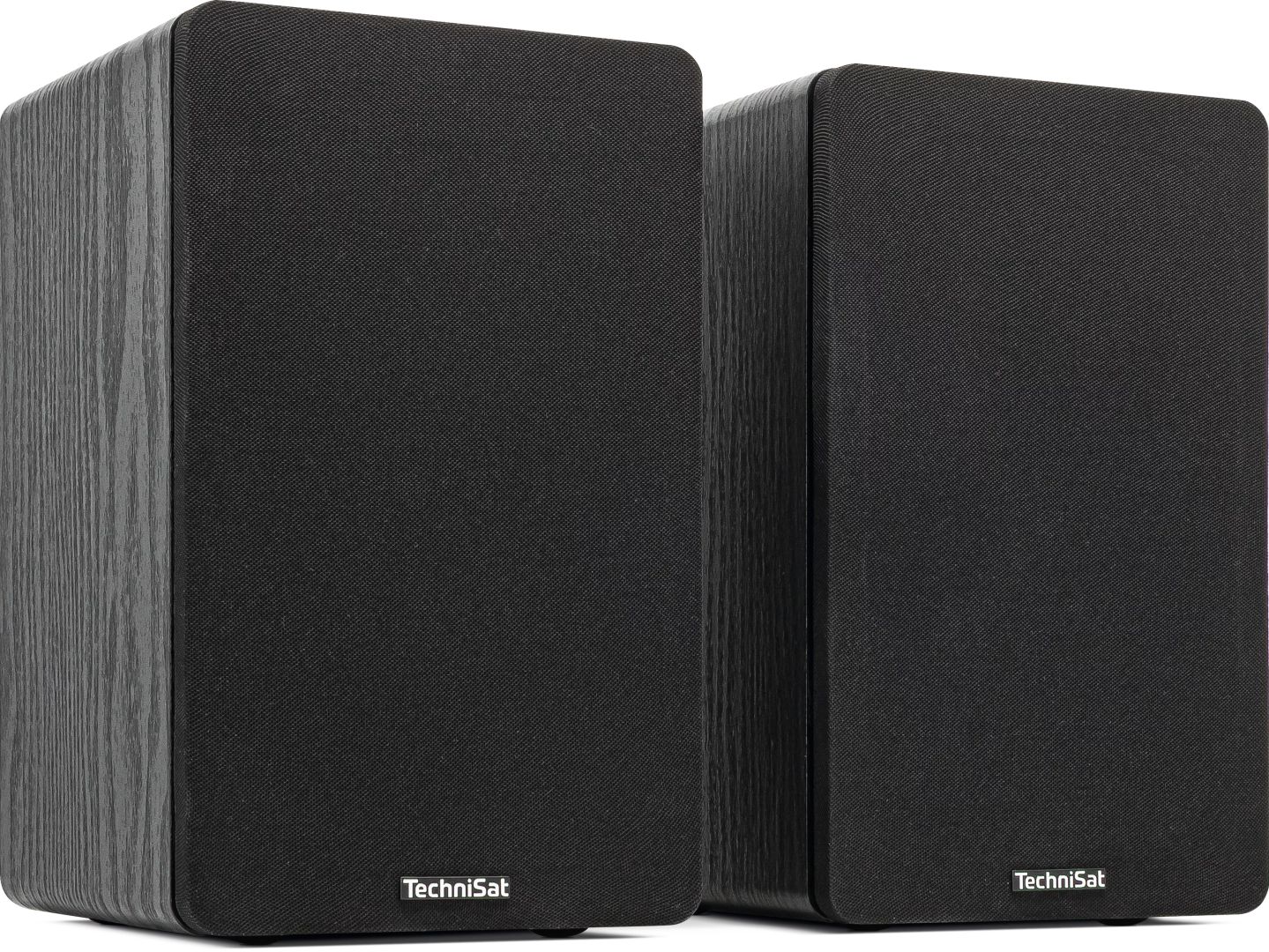 Technisat Audiomaster RLS 1
