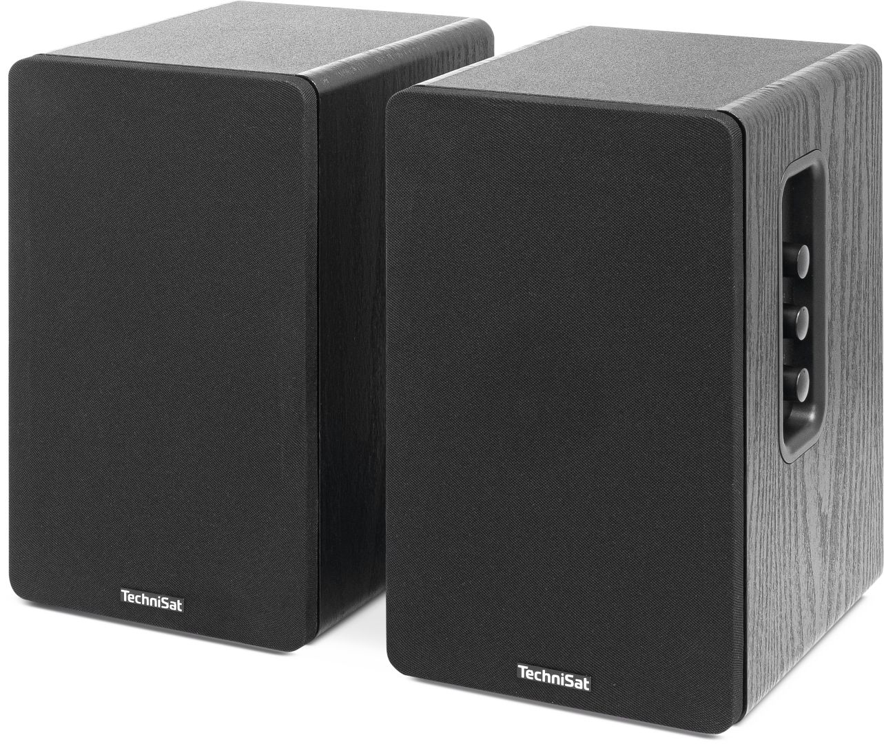 Technisat Audiomaster RLS 1