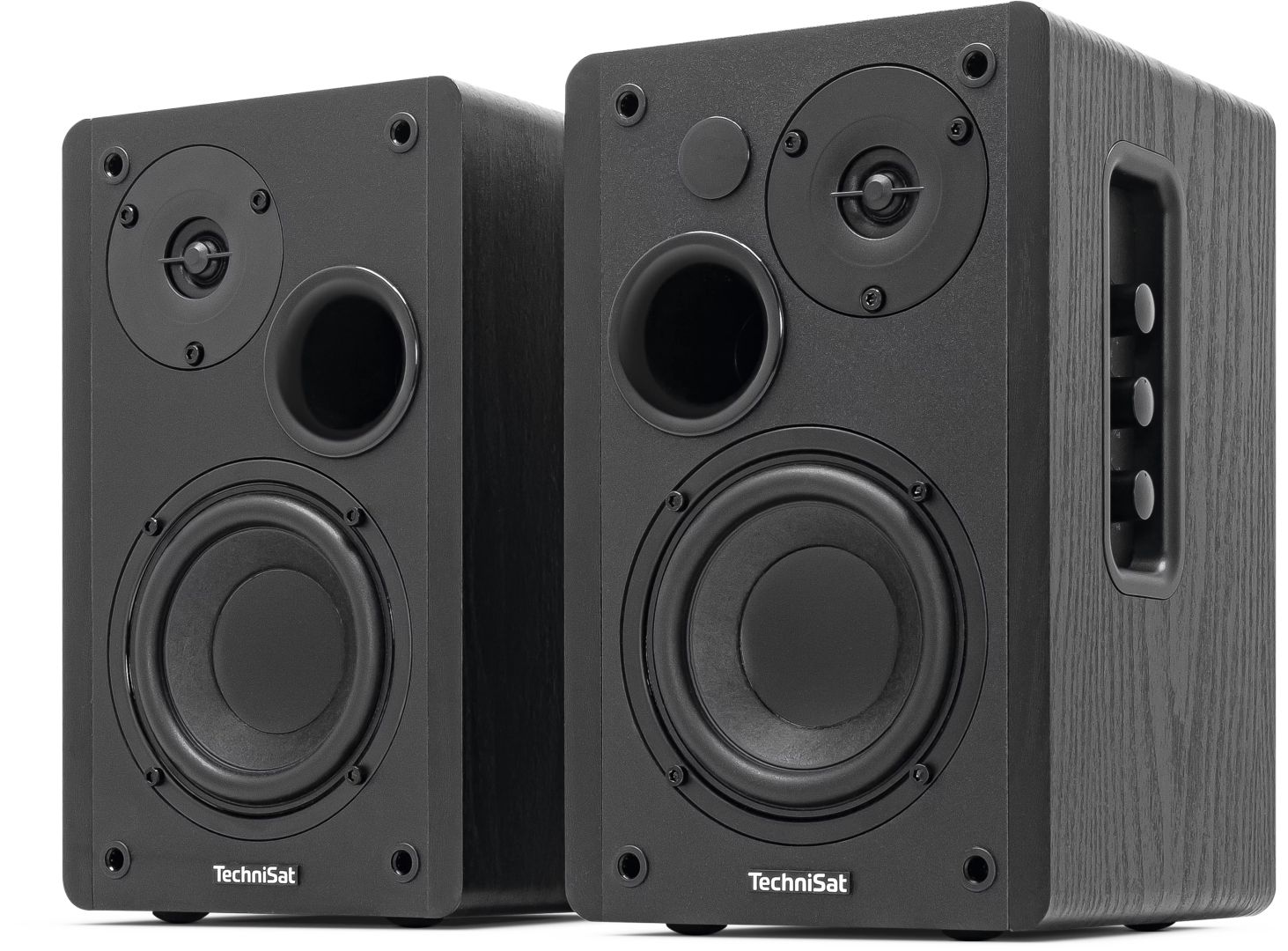 Technisat Audiomaster RLS 1