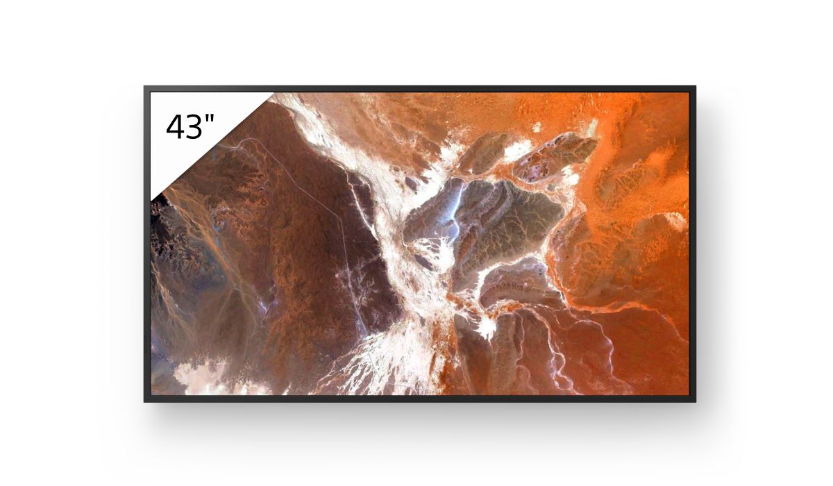 Sony 43