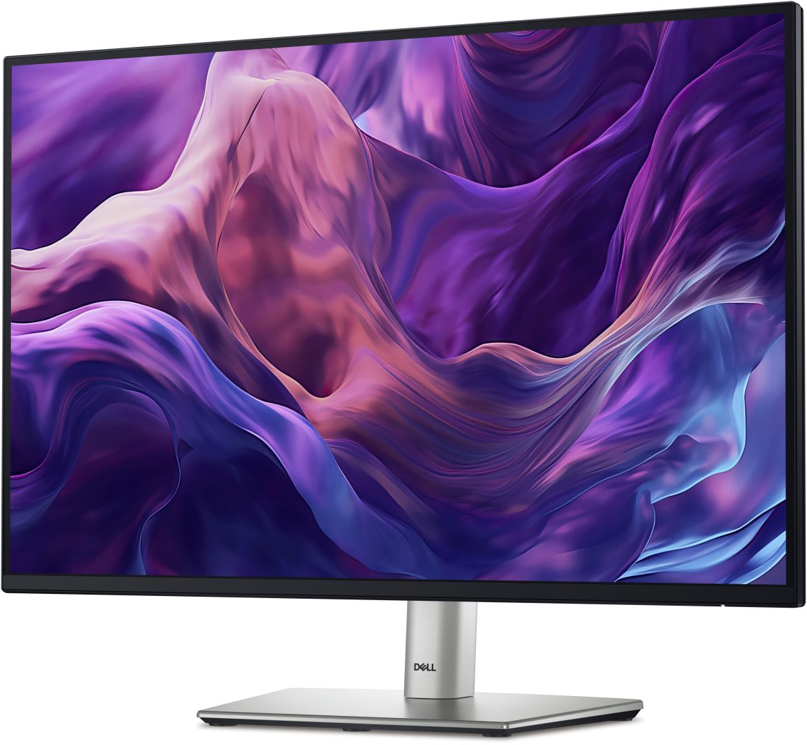 Dell 24