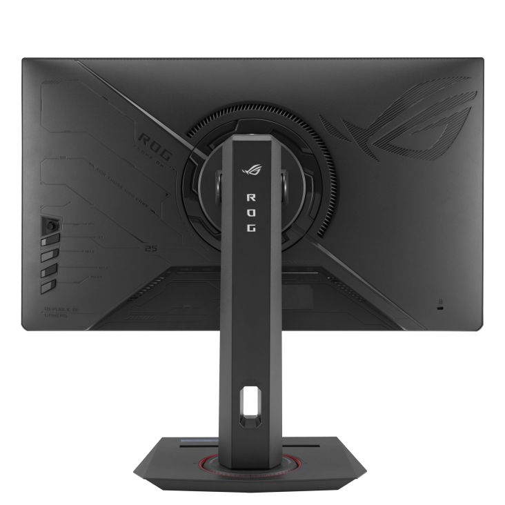 Asus 24,5