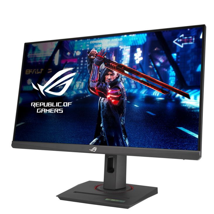 Asus 24,5