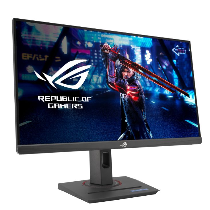 Asus 24,5