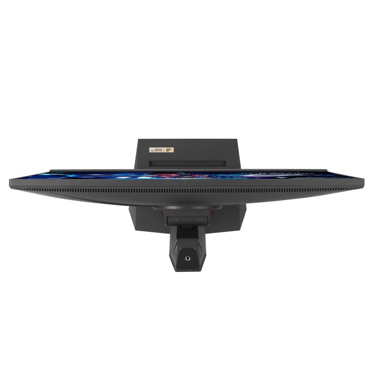 Asus 24,5