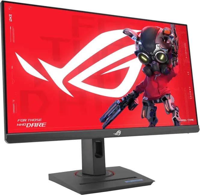 Asus 24,5