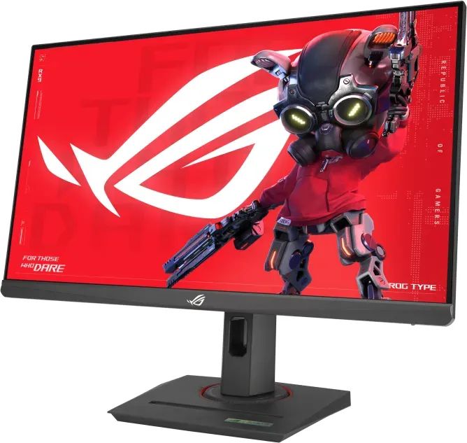 Asus 24,5