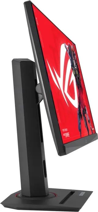 Asus 24,5