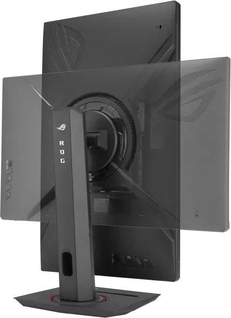 Asus 24,5